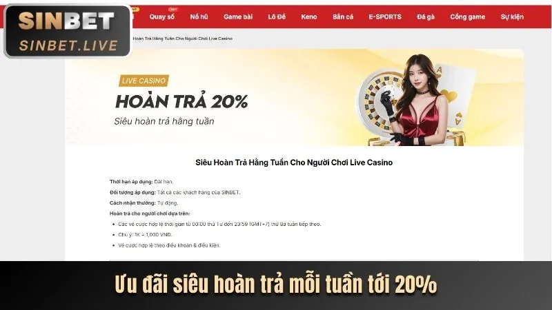 Tổng quan về Sinbet, nhà cái cá cược trực tuyến uy tín liên kết với 789pet